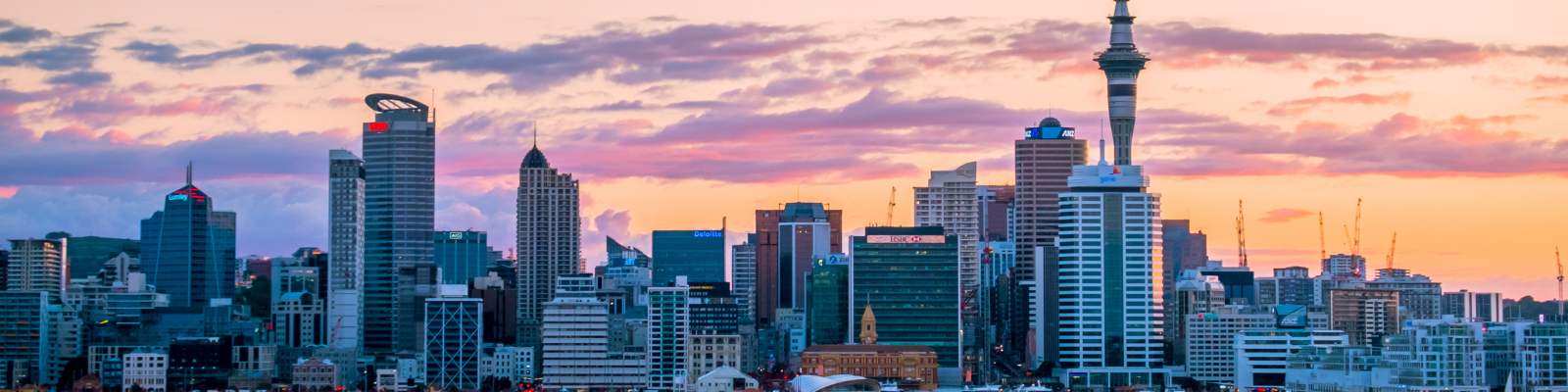 Study in New Zealand